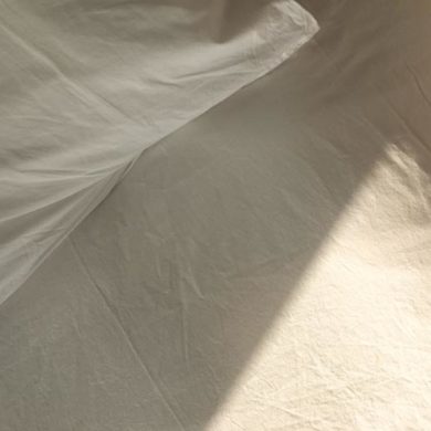 Jak pozbyć się pluskiew z domu