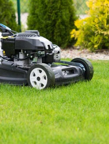 koszenie trawnika