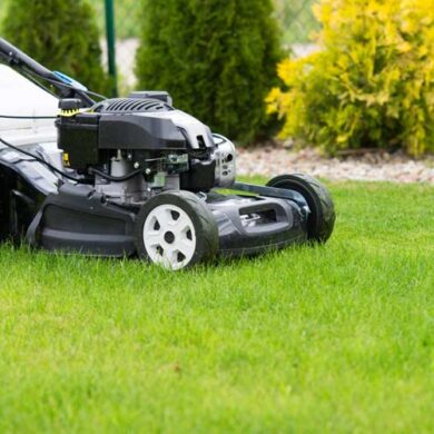 koszenie trawnika