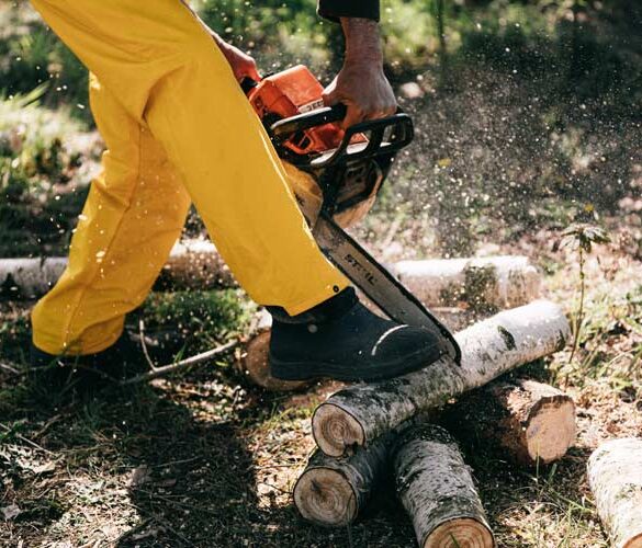 Profesjonalne piły do drewna - sprawdź, co trzeba o nich wiedzieć!